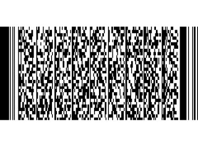 L-Tron PENNDOT e-Safety Inspect. Dealer 2D Barcode