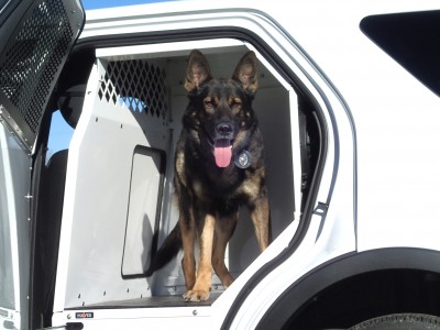 2013-2016 Ford Police Interceptor Utility K9 Prisoner Transport System. (Does not work in Ford Retail Explorer)