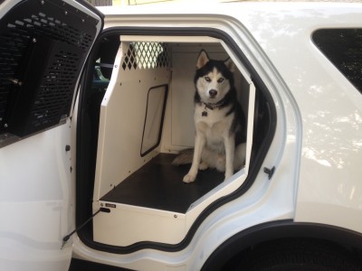 2013-2016 Ford Police Interceptor Utility K9 Prisoner Transport System. (Does not work in Ford Retail Explorer)