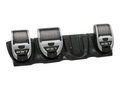 Zebra 4-Bay Power Station