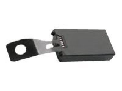 Motorola Handheld Battery 